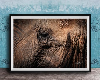 Elephant Wall Art: Textured Hide, Wildlife Safari - Exotic Trunk Print