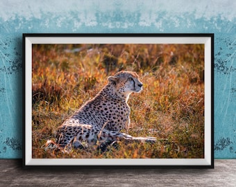 Cheetah Wall Art: Vibrant Safari Print - Boho Maximalist Decor