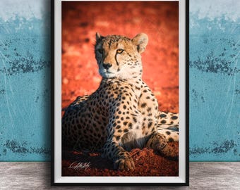 Cheetah Art Print - Bold Black and White Safari Wall Accent