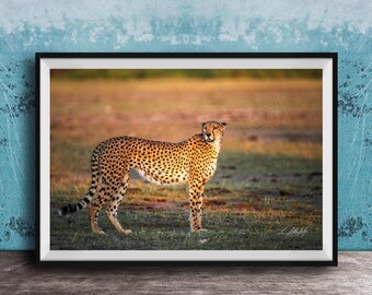 Cheetah Art Print: African Safari Wildlife (Multiple Sizes Available)