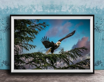 American Bald Eagle Print: Alaska Wilderness Photo Slate