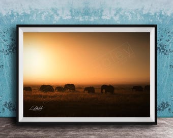 Safari Elephant Wall Art: Warm Amber Wildlife Illustration