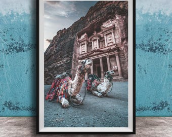 Petra Jordan Camel Print, The Rose City, Desert Fine Art Photography