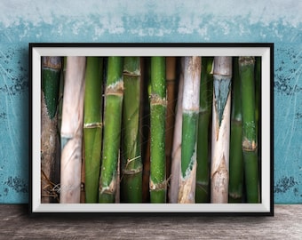 Tropical Bamboo Wall Art, Botanical Nature Print (Indonesia Landscape)
