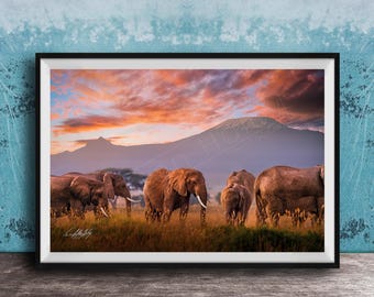 Elephant Wall Art: Kilimanjaro Sunset - Boho Rustic Safari Decor