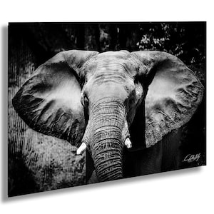 Elephant Wildlife Art Print, Safari Animal Gift, Gentle Giant Artwork, Lush Landscape Wall Decor, Ethical Nature Gift, Unique Made To Order