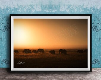 Safari Elephant Print: Mother and Calf - Amber Hues, Maasai Inspired