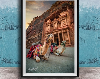 Petra Jordan Camel Print, The Rose City, Desert Fine Art Photography