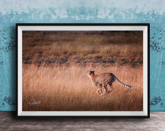 Maximalist Cheetah Wall Art: Bright Boho Safari, Kenya Inspired