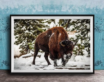 Bison Winter Art Print: Snowy Landscape with Wildlife