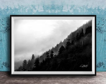 Forest Wall Art Print: Misty Pines and Morning Fog - Cottagecore Style