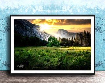 Ansel Adams, Lonely Yosemite - Oak Sunrise | Fine Art Photograph | Wall Decor