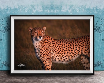 Cheetah Wall Art Print - Bold Safari Animal Decor for Walls