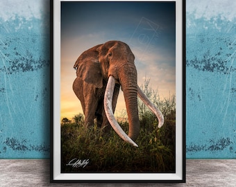 Big Tusker Elephant Wall Art: Kenyan Sunset, Maasai Culture