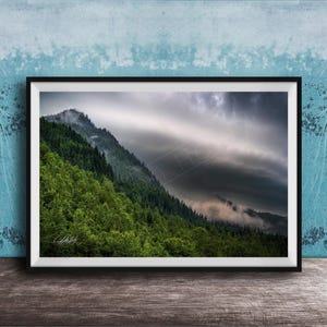 Alaska Landscape Print, Mendenhall Glacier, Misty Forest (Artist Signed)