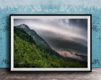 Alaska Scenic Print: Mendenhall Glacier and Pine Forest