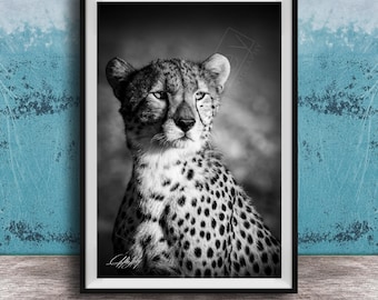 Cheetah Wall Art Print - Bold Black and White Safari Decor