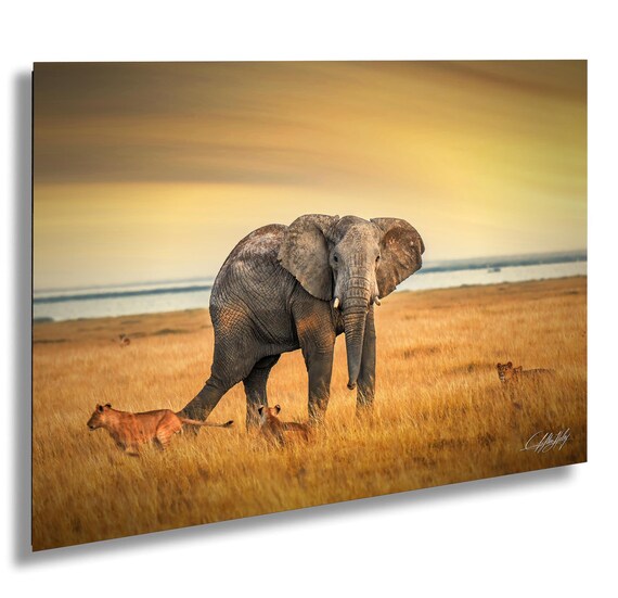 絵画ケニアサファリ象