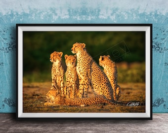 Kenya Cheetah Art Print - Fierce Family Scene in Black and White