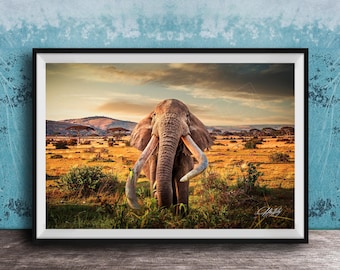 Big Tusker Craig, Amboseli National Park , Safari Wall Art Elephant