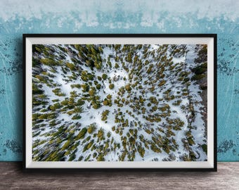 Snowy Mountain Print: Evergreen Forest Aerial View (Framed or Canvas)