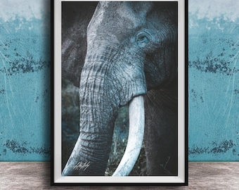 Big Tusker Elephant Wall Art: African Safari Canvas Print