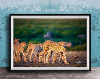 Maasai Safari Cheetah Art Print (Black & White, Bold Design)