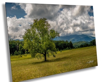 Cades Cove Lone Tree Wall Art, East Tennessee Landscape Print, Smoky Mountains Decor, Nature Photography Gift, Rustic Cabin Home Accent