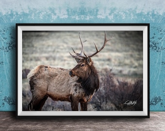 Elk Wall Art: Rocky Mountain Wildlife - Rustic Fiery Sky Scene