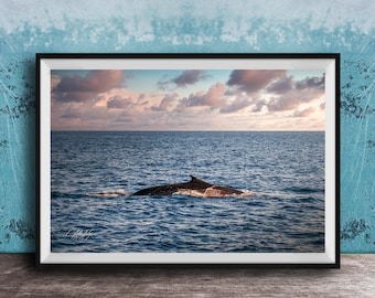 Fin Whale Wall Art: Sunset Ocean Scene - Coastal Marine Decor