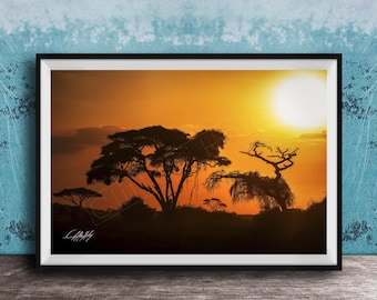 African Acacia Tree Metal Print, Sunset Silhouette (Boho Wall Art)