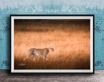 Maasai Cheetah Wall Art, Bright Safari Animal Print (Over Couch)