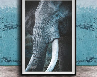 Elephant Wall Art: Big Tusker African Safari - Kenyan Sunset Colors