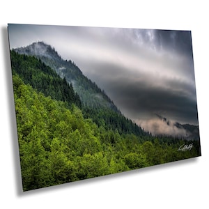 Alaska Frontier, Mendenhall Glacier Area, Juneau, Alaska