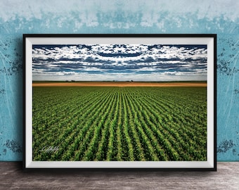 Cornfield Art Print: Summer Sunset, Rustic Countryside Scene