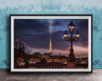 Paris Landmark Print: Eiffel Tower and Pont Alexandre III (Framed or Canvas)