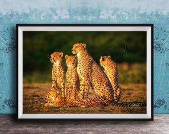 Cheetah Art Print: African Safari Wildlife (Multiple Sizes Available)