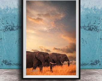 Big Tusker Elephant Print - African Bull Elephants at Amboseli