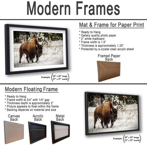 a picture of a bison in the snow and a picture of a bison in the