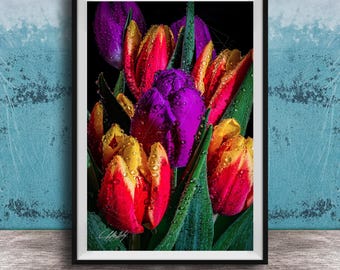 Tulip Wall Art Print: Floral Bouquet on Black