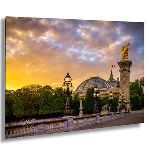Alexander 3rd Bridge Paris Foto, Paris Galerie, Wandkunst, Fine Art Fotografie, Französische Dekoration, Reisefotografie, rosa Rosen