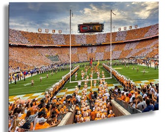 UT Vols vs FL Gators (University of Tennessee Volunteers vs Florida Gators) - Power T