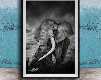 Kenyan Big Tusker Elephant Canvas, Sunset Boho