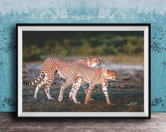 Cheetah Art Print: African Safari Wildlife (Multiple Sizes Available)