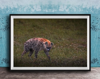 Hyena Wildlife Wall Art, Maasai Mara Safari Animal Fine Print
