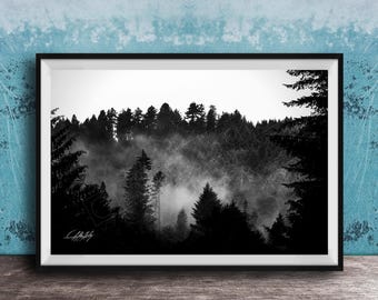 Foggy Forest Wall Art: Misty Pines and Morning Fog - Large Canvas