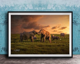 Safari Elephant Wall Art, Sunrise Battle Scene