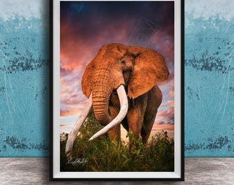 Craig the Big Tusker Elephant: Maasai Safari Art - Canvas or Framed