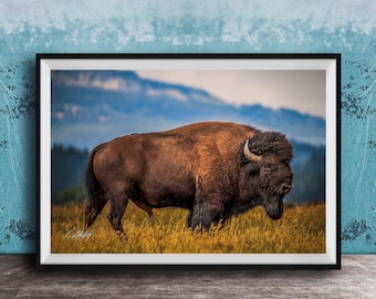 Western Bison Canvas Print - Rustic Buffalo Scene Wall Decor