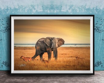 Elephant Battle Print: Boho Kenya Wildlife (Sunrise Safari Art)